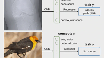 Tackling Information Leakage in Concept Bottleneck Models featured image