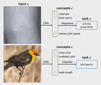 Tackling Information Leakage in Concept Bottleneck Models featured image