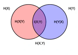 Mutual Information Neural Estimators featured image